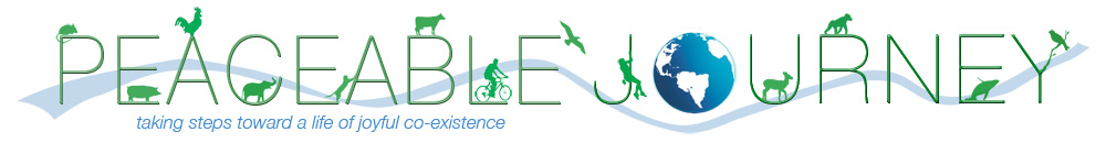 Peaceable Journey